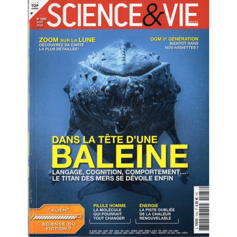 Science & Vie n° 1283 - Dans la tête d'une BALEINE